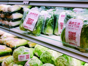 如何讓包裝“綠”起來？